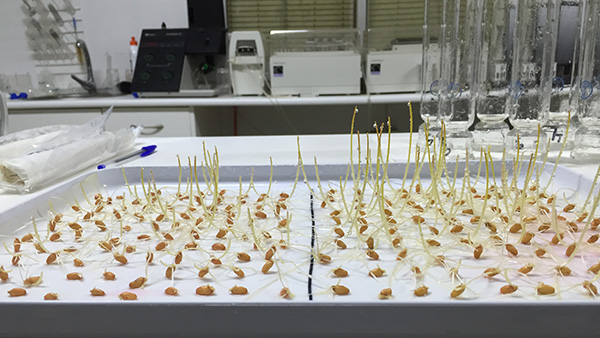 Who we are - Campo de Tejada, Chickpea producers in Spain Who we are - Campo de Tejada, Chickpea producers in Spain