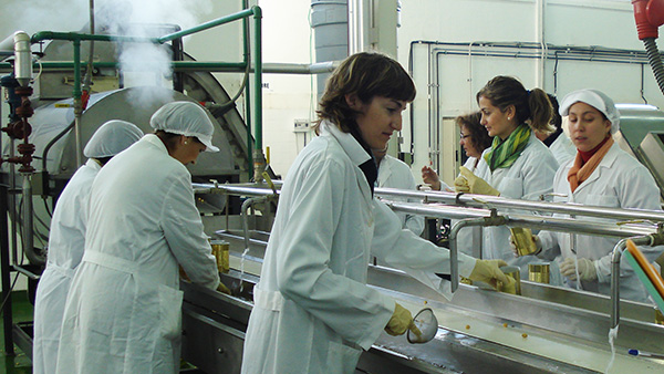 Who we are - Campo de Tejada, Chickpea producers in Spain Who we are - Campo de Tejada, Chickpea producers in Spain