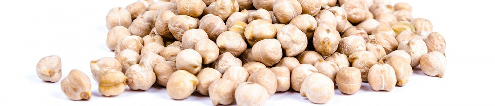 cabecera-garbanzos