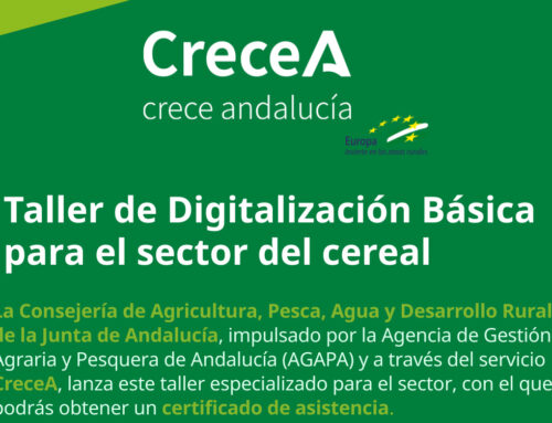 (Español) Taller de Digitalización básica para sector del Cereal